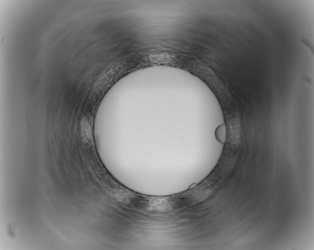 X0000099970705200806131532