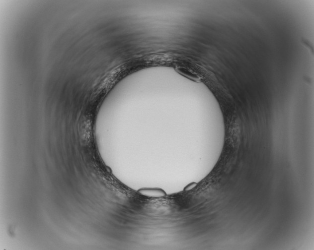 X0000099970708200806131532