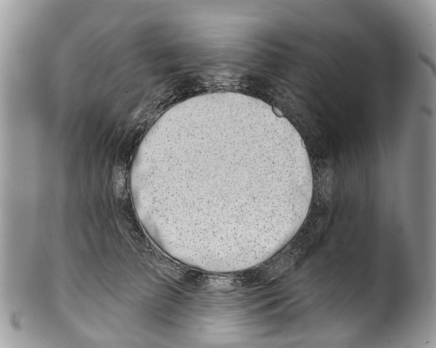 X0000099970709200806131532