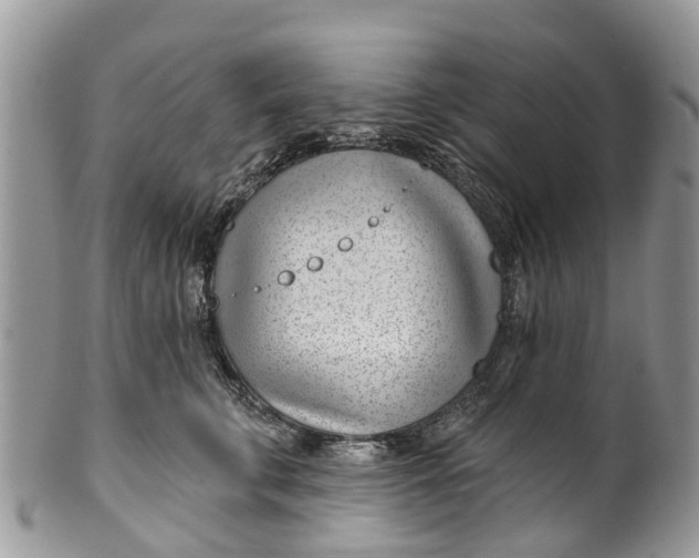 X0000099970711200806131532