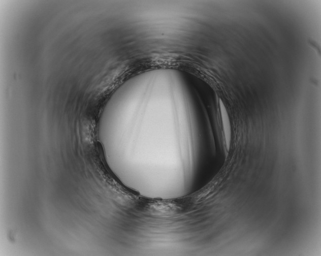 X0000099970712200806131532