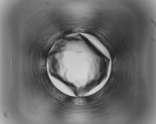 X0000099970714200806131532