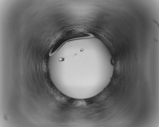 X0000099970715200806131532