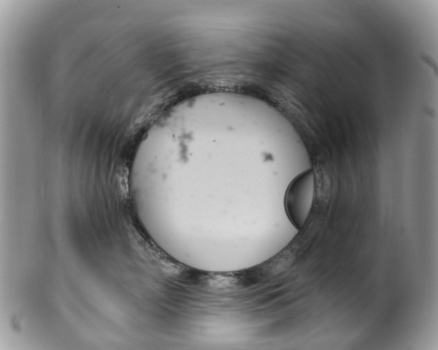 X0000099970718200806131532