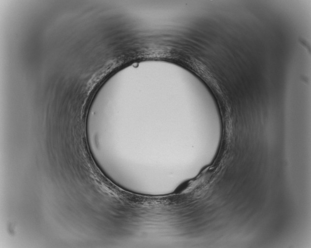 X0000099970721200806131531