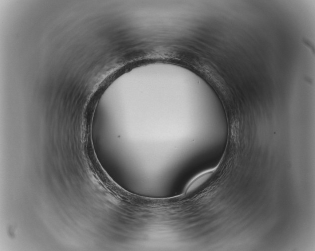 X0000099970724200806131531