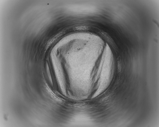 X0000099970725200806131531