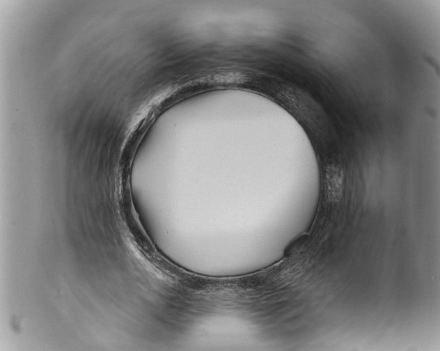 X0000099970726200806131531