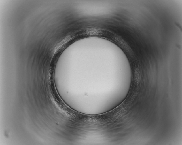 X0000099970730200806131531