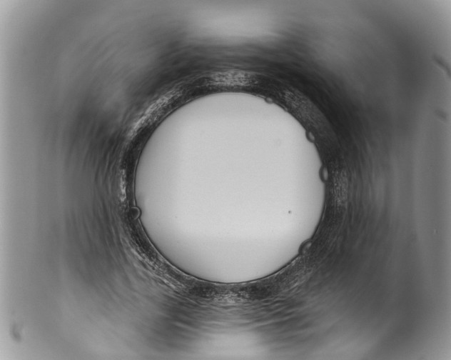 X0000099970731200806131531