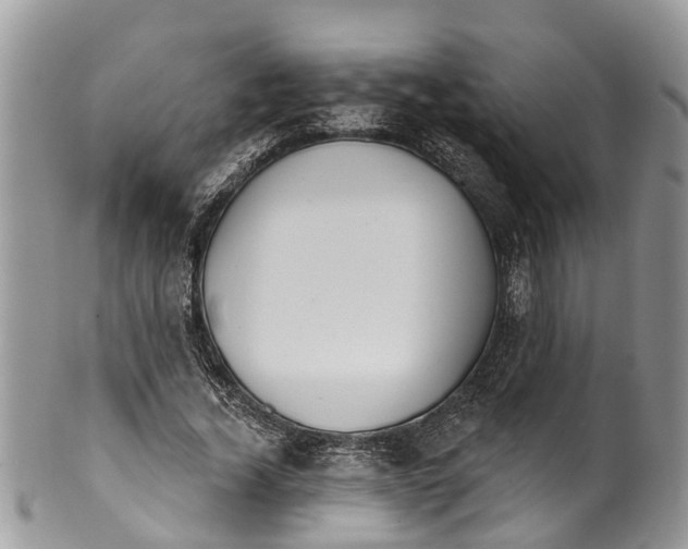 X0000099970732200806131531