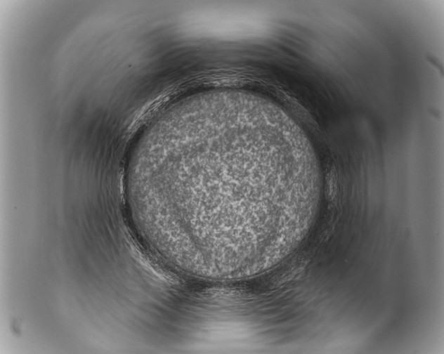 X0000099970733200806131531