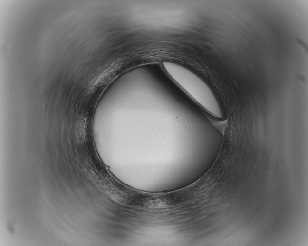 X0000099970735200806131531