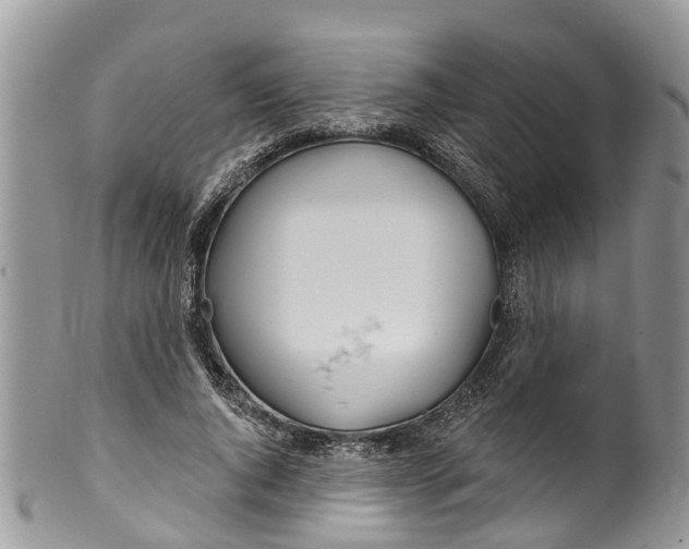 X0000099970736200806131531