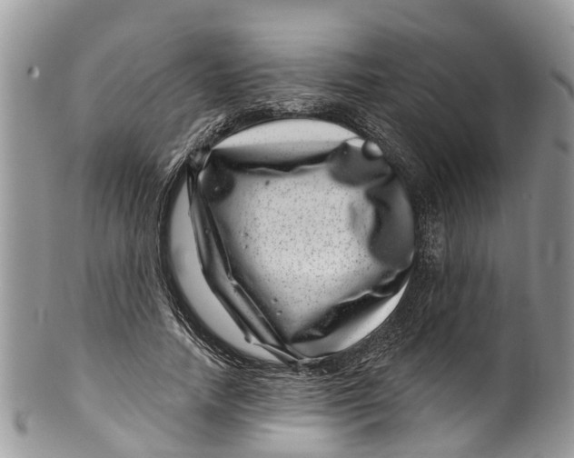 X0000099970738200806131531