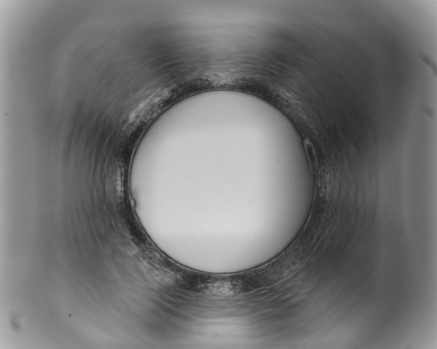 X0000099970740200806131531