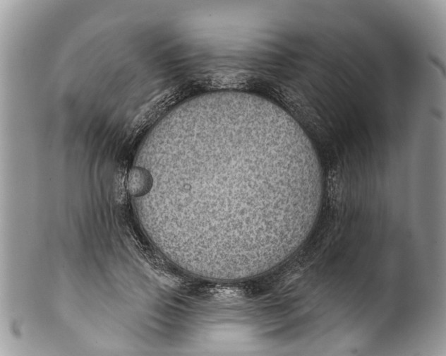 X0000099970741200806131531