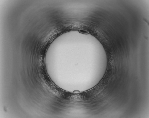 X0000099970744200806131531