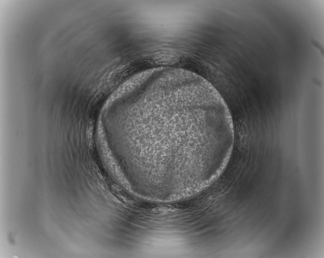 X0000099970745200806131531