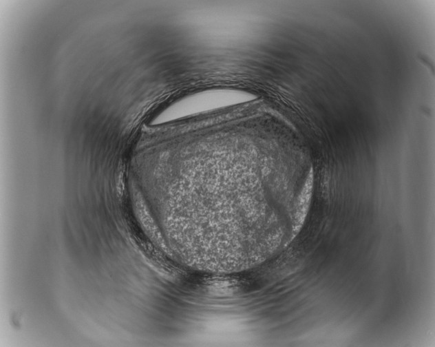 X0000099970746200806131532