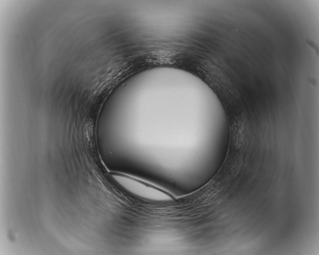 X0000099970747200806131532