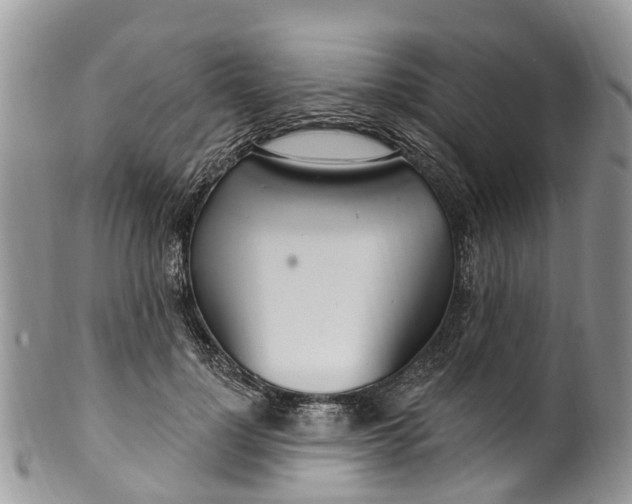 X0000099970748200806131532