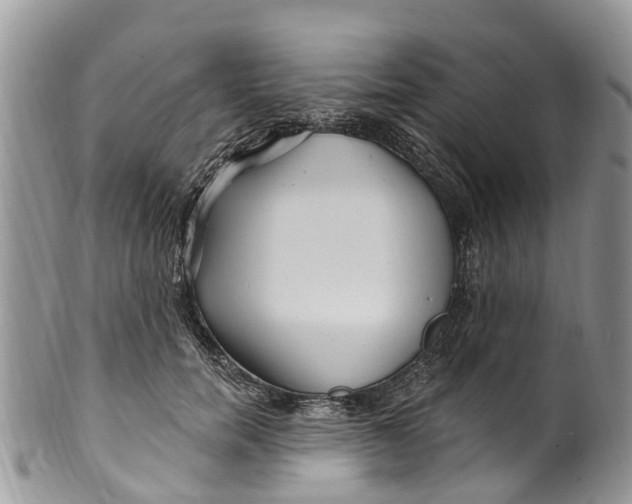 X0000099970750200806131532