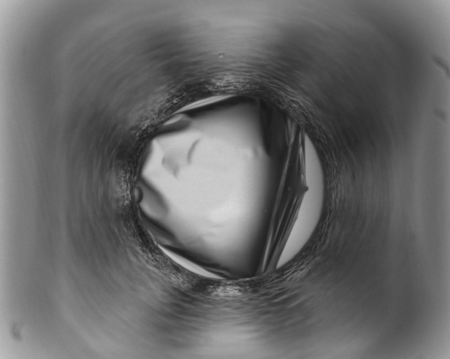 X0000099970751200806131532