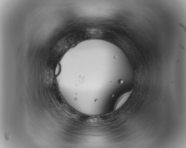 X0000099970752200806131532