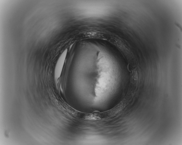 X0000099970754200806131532