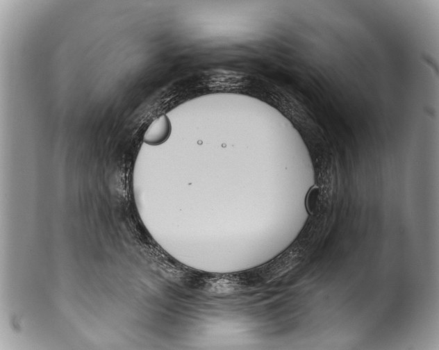 X0000099970755200806131532