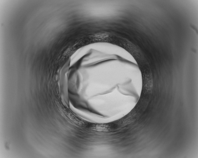 X0000099970758200806131532