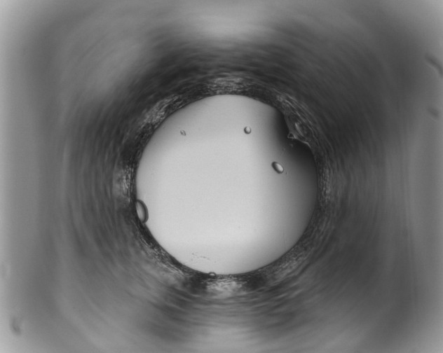 X0000099970759200806131532