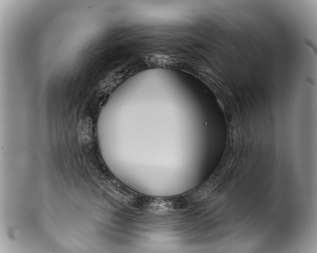 X0000099970760200806131532