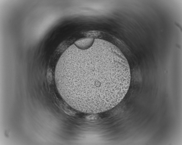 X0000099970761200806131532