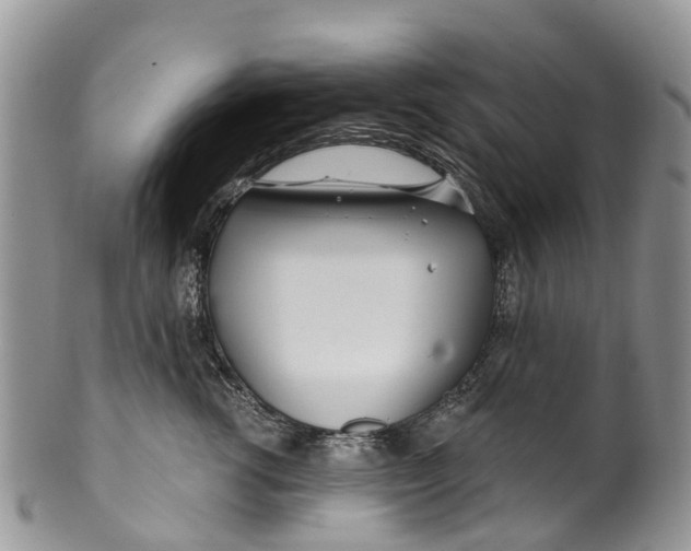 X0000099970762200806131532