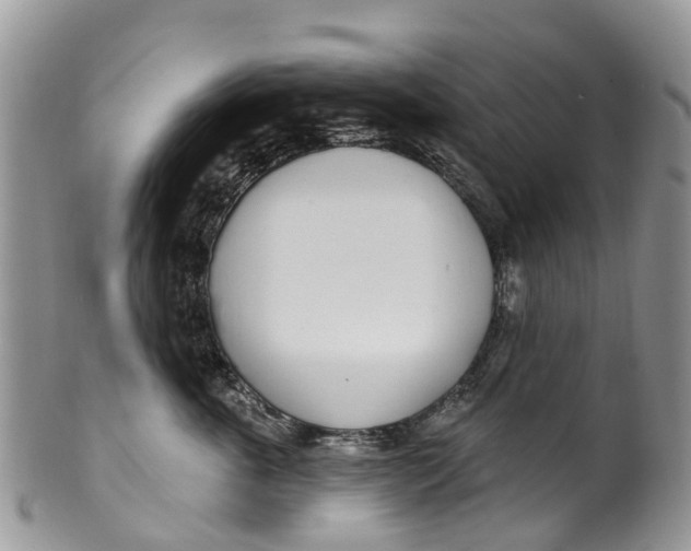 X0000099970763200806131532