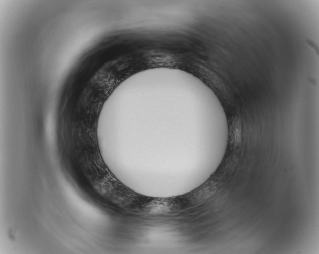 X0000099970764200806131532