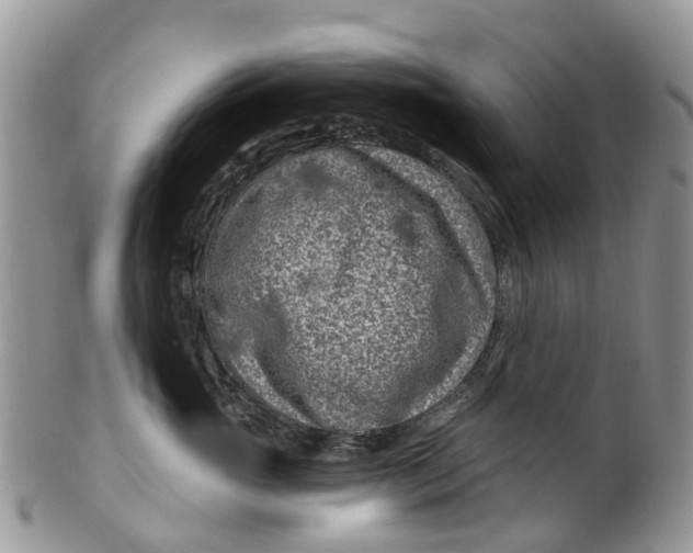 X0000099970765200806131532