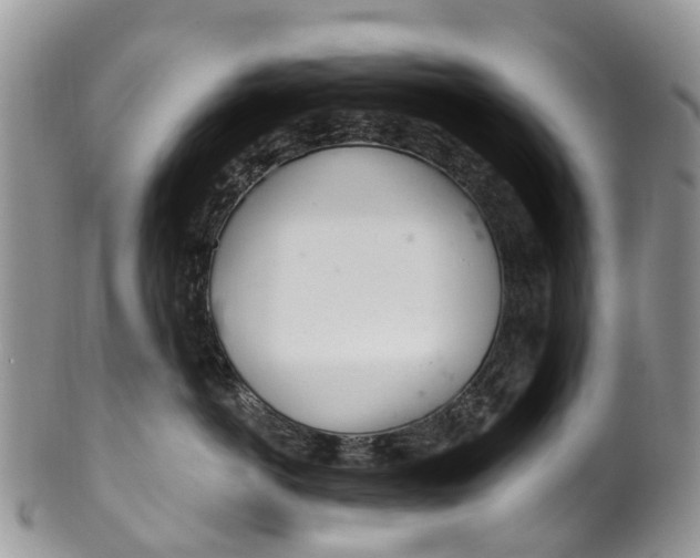 X0000099970766200806131532