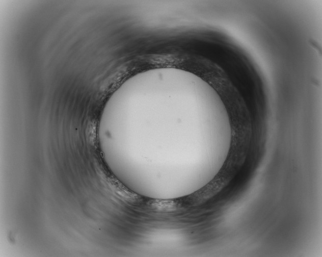 X0000099970767200806131532