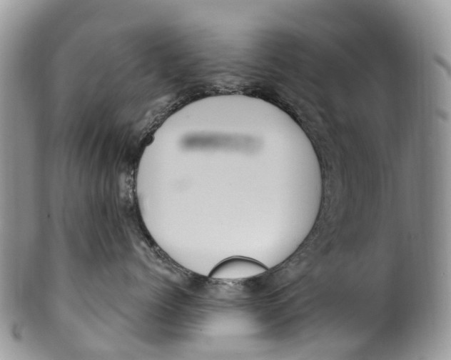 X0000099970768200806131532