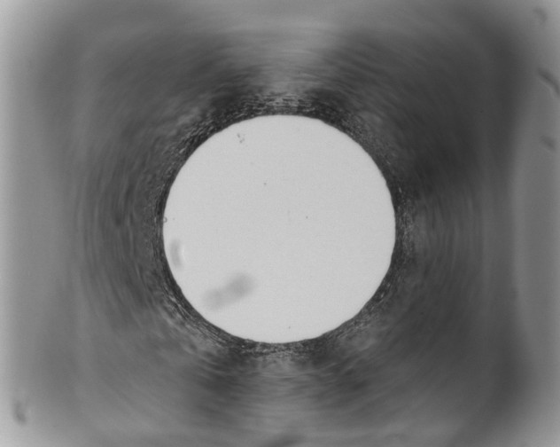 X0000099970769200806131531