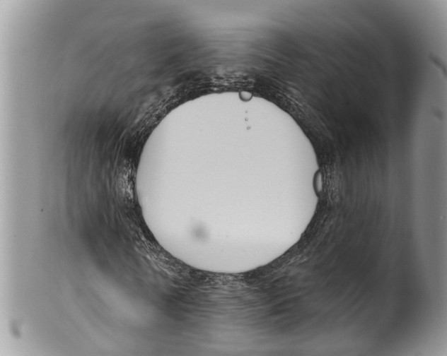 X0000099970770200806131531