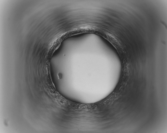 X0000099970776200806131531