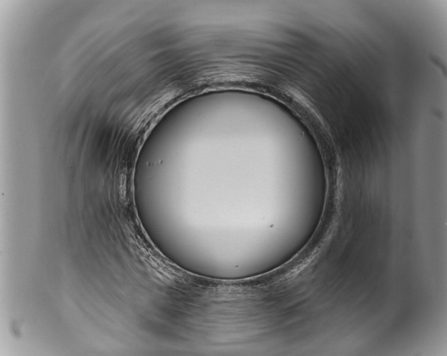 X0000099970777200806131531