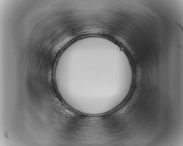 X0000099970778200806131531