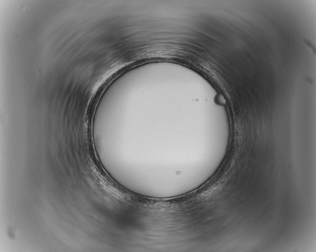 X0000099970779200806131531