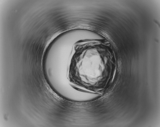 X0000099970780200806131531