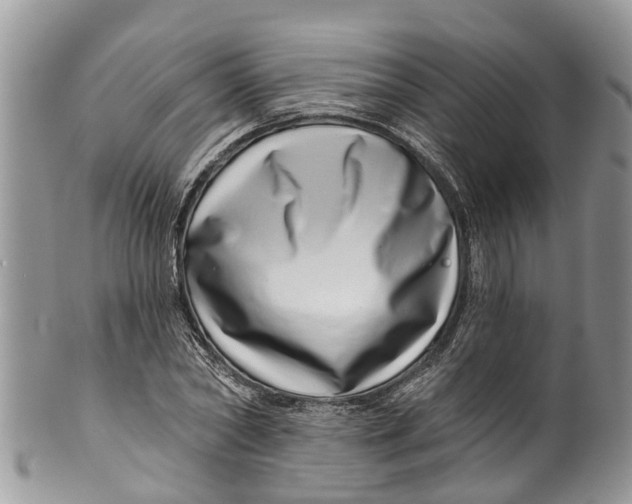 X0000099970782200806131531